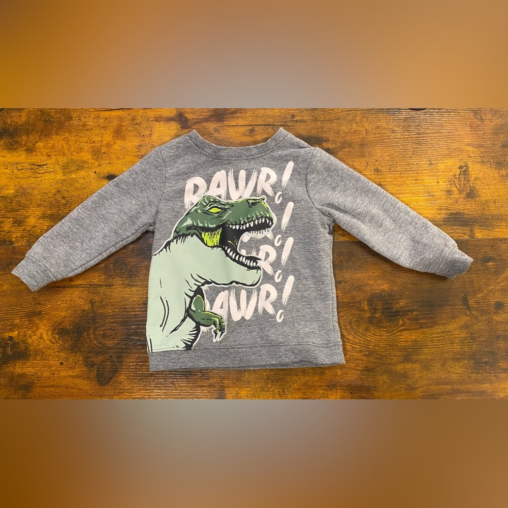 Item 78 Boys 18M Dinosaur Gray Crewneck “Rawr!, Rawr!, Rawr!” Grey
